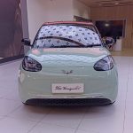 Wuling BinguoEV